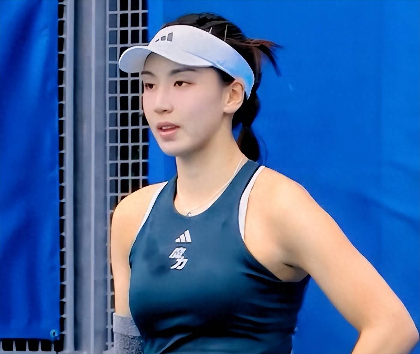 篮球爱好者 篮球爱好者