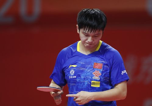 程序性或实 程序性或实